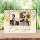 Search for coastal christmas cards Tropical