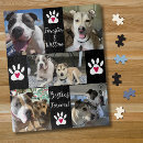 Search for pet puzzles Typography