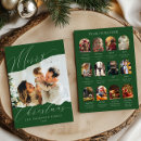 Search for what a year christmas cards 12 photos