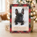 Search for pet cards Funny