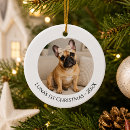 Search for frenchie christmas tree decorations French bulldog