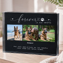 Search for dog memorial photo display In loving memory