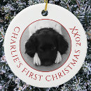 Search for pet photo christmas tree decorations Modern