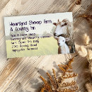 Search for livestock business cards Sheep