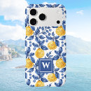 Search for chinoiserie chic iphone cases Elegant