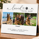 Search for tribute pet memorials In loving memory
