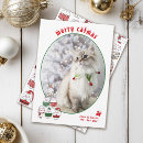 Search for cute cat christmas cards Animal lover