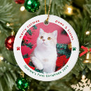 Search for cute cat christmas tree decorations Whimsical