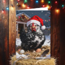 Search for funny chicken christmas cards Chickens