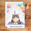 Search for fat cat birthday cards Funny