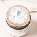 Search for blueberry stickers Blueberry baby shower