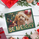 Search for dog christmas cards Cute
