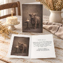 Search for cow birthday cards Highland cattle