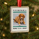 Search for puppys first christmas For pets
