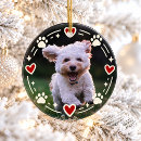 Search for dogs christmas tree decorations For pets