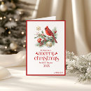 Search for red cardinal christmas cards White
