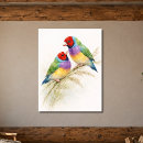 Search for finches posters Wildlife