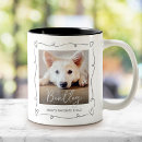 Search for ceramic cat mugs Pet photo