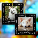 Search for black and white cat christmas tree decorations Pet photo