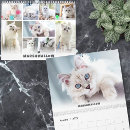 Search for cute calendars Pet photo