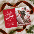 Search for cute pets cards Merry