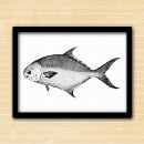 Search for black and white fish posters Beach