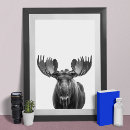 Search for black and white forest posters Woodland
