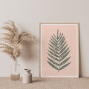 Search for minimalist drawing posters Botanical illustration