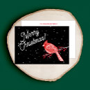 Search for cardinal thank you cards Snow
