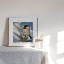 Search for capped chickadee art Birds