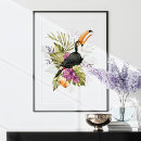Search for toucan birds posters Parrot