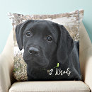 Search for black lab cushions Labrador retriever