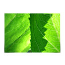 Search for new leaf cards Nature