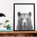 Search for black bears posters Animal