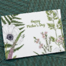 Search for wildflower mothers day cards Aunt
