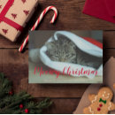 Search for merry meow christmas cards Cat