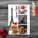 Search for poodle christmas cards Cute
