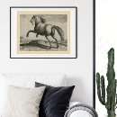 Search for vintage equestrian horse posters Stallion
