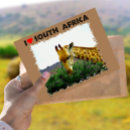 Search for african tree postcards Wildlife