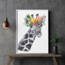 Search for black and white giraffe posters Jungle