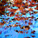 Search for reflections tiles Trees
