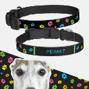 Search for dog collars puppy