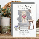 Search for cockapoo dog Breed