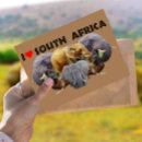 Search for africa postcards Wildlife