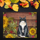 Search for cat and sunflowers cards Autumn