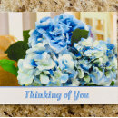 Search for thinking of friends cards Keeping in touch