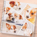 Search for christmas notebooks Seasons greetings