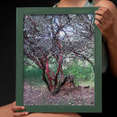 Search for plants photography California