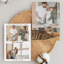 Search for cat wedding save the dates Kitty