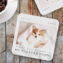 Search for bird coasters Pet